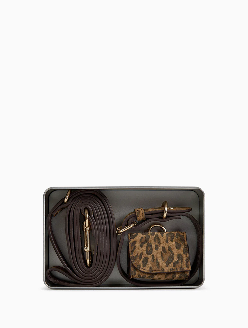 Kit pour chien - Image 2