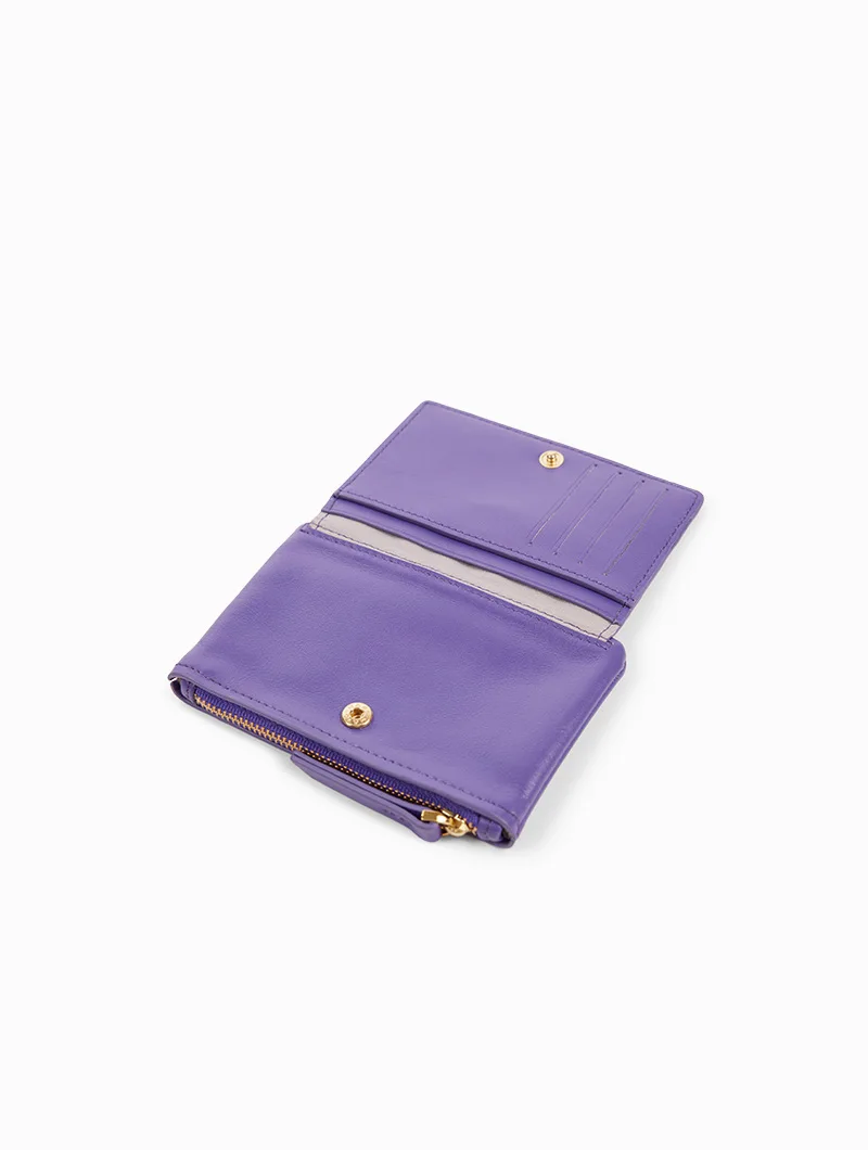 Soly - Image 18