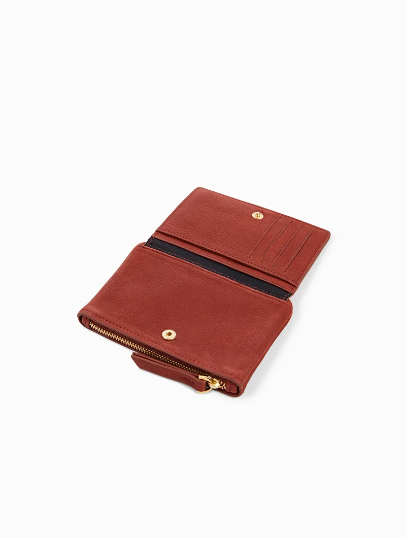 Soly - Image 46